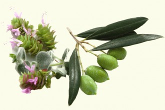 biokosmetika