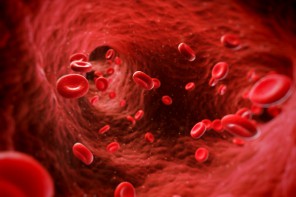 Erytrocyty v krevním řečišti
